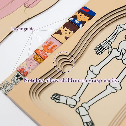 My Body Parts Puzzle for Toddlers Girls Boys Wooden Anatomy Puzzle 3-8 Years Old Preschool Learning Game Human Body Skeleton Toys