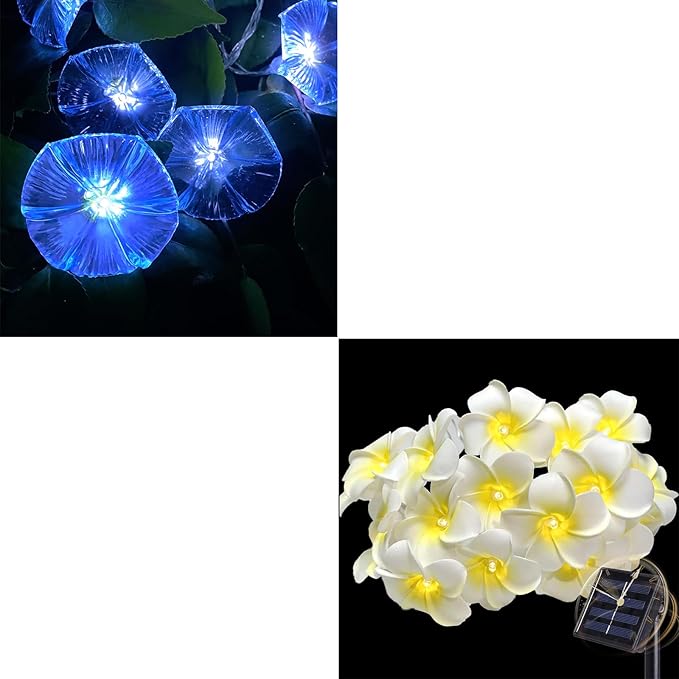 Solar Petunia Blue Morning Glory Flowers and Solar Hawaiian Frangipani Flower String Lights Tropical Flowers