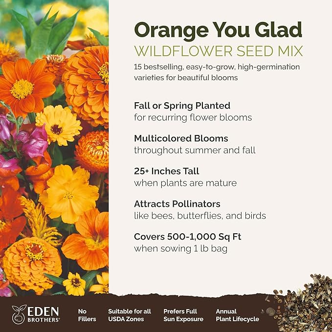 Eden Brothers Orange You Glad Flower Mixed Seeds for Planting, 1 lb, 480,000+ Seeds with Dahlia, Double Strawflower | Attracts Pollinators, Plant in Spring or Fall, Zones 3, 4, 5, 6, 7, 8, 9, 10