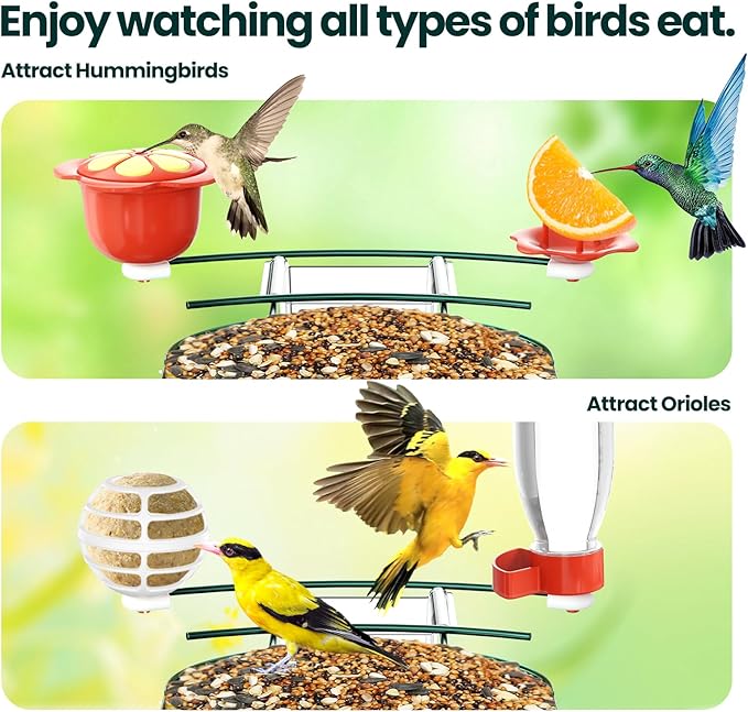 SOLIOM Solar Bird Feeder with Camera for Outdoors - AI Smart Birdhouse, 2K Live View & Instant Alerts, Squirrel Proof - Perfect Bird Watching Gift (Green)