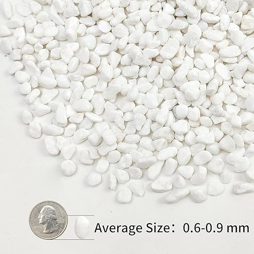 2lbs White Pebbles for Indoor Plants, 3/8inch Small Rocks for Succulent Cactus Planters, Natural Polished Pebbles, River Rocks for Plants, Vases, Garden