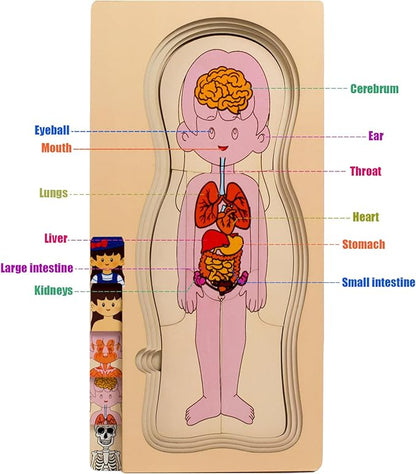 My Body Parts Puzzle for Toddlers Girls Boys Wooden Anatomy Puzzle 3-8 Years Old Preschool Learning Game Human Body Skeleton Toys