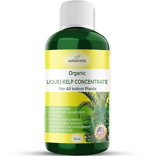 Organic Premium Kelp Seaweed Fertilizer - Liquid Hydroponics Fertilizer - Liquid Plant Food - Nutrient-Rich Soil Enhancer - Natural Plant Food for All Indoor Plants (32 oz)