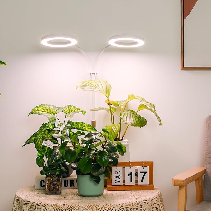 LBW Halo Plant Grow Lights, Dual-Head Desk Grow Light for Indoor Plants, 72x2 LEDs Full Spectrum Grow Lamp with 4/8/12H Auto Timer, 4-Level Brightness, Flexible Gooseneck, Height Adjustable, White