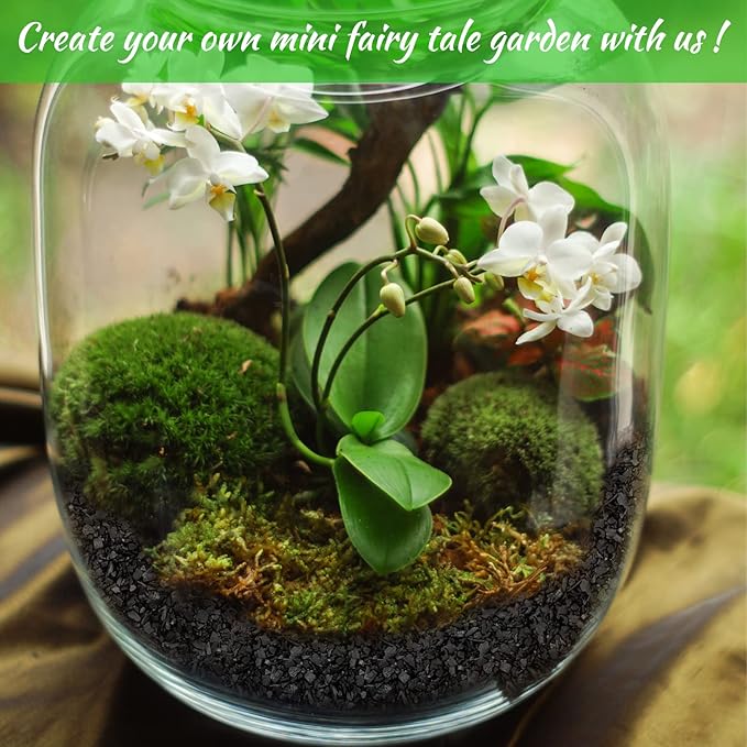 Legigo 6QT All Natural Horticultural Charcoal- Activated Hardwood Plant Charcoal for Soil Amendment, Conditioning Bonsai Soil, Succulent Soil, Terrarium Supplies, Indoor Plant Potting Soil