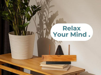 BSIRI Fun Puzzle Board Games Gifts of Hanoi Tower (9 Rings) with Wooden Designs for Brain Teasers Logic Games Kids and Adults to Challenges Mastermind Game and Think for Fun Learning Tower Puzzles