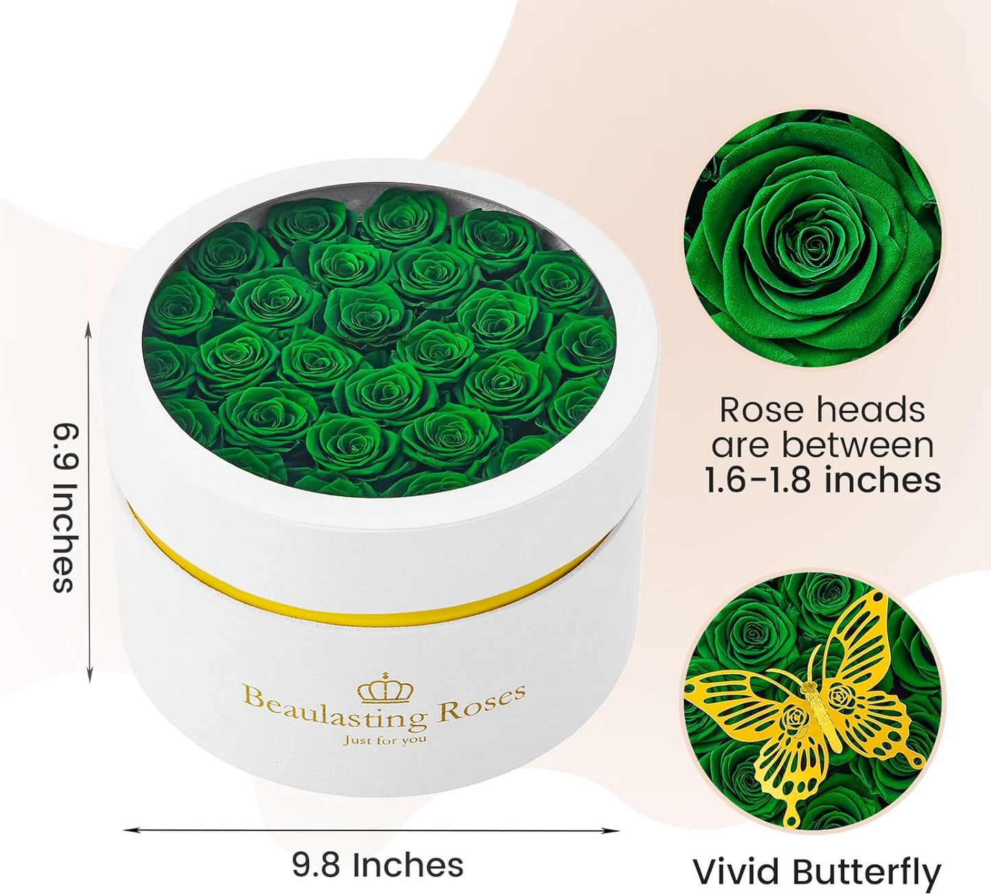 Preserved Roses Forever Flowers Real Roses in a Box Mother's Day Birthday Flowers for Her Mom Women Wife Valentine's Day, Green, 27 Piece