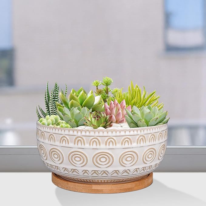 8 Inch Ceramic Succulent Planter Pot with Drainage Hole and Saucer Round Shallow Planter for Indoor Plants, White