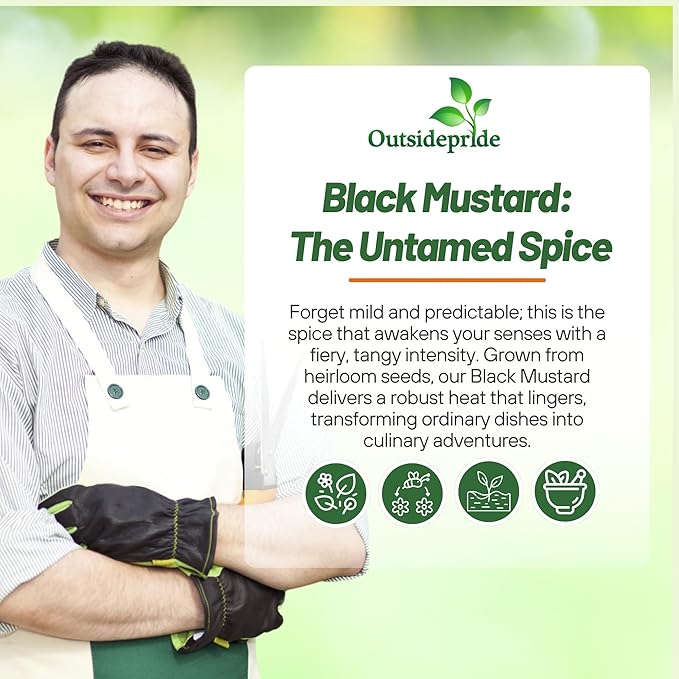 Outsidepride Black Mustard Seeds - 5000 Pcs Nutrient-Rich, Flavorful Annual Microgreen Seeds for Planting, Easy-to-Grow, Ideal for Indoor & Outdoor Cultivation, Soil & Hydroponic Systems