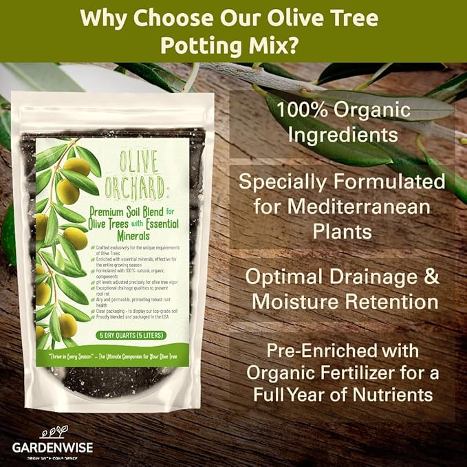 Organic Olive Tree Potting Mix – Fast-Draining, Nutrient-Rich Soil for Indoor & Outdoor Olive Trees – Mediterranean Plant Care – Long-Lasting Formula (10 QUARTS)