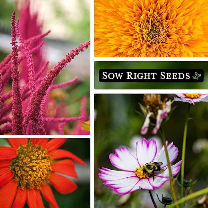 Sow Right Seeds - Large Flower Farm Seed Collection for Planting - Zinnias, Sunflowers, Daisies, Cosmos, Carnations, Stock & More - Attract Pollinators - Non-GMO Heirloom Varieties to Cut Bouquets