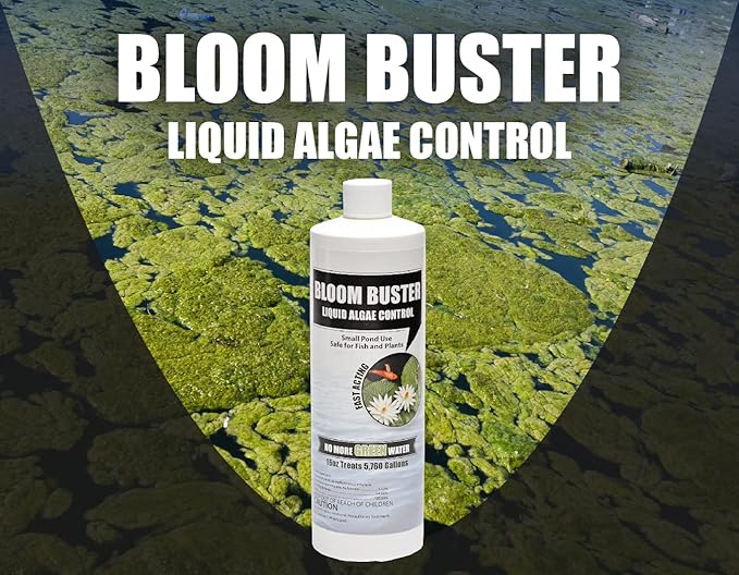 Bloom Buster Pond Algae Control - 16oz - Fast Acting Algaecide, Use in Fountains & Outdoor Ponds Containing Koi & Other Fish - EPA Registered