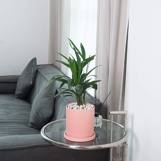 Planters for Indoor Plants Ceramic Flower Succulent Plant Pots with Drain Hole Saucer Decor for Home Office (4 inch Pink)