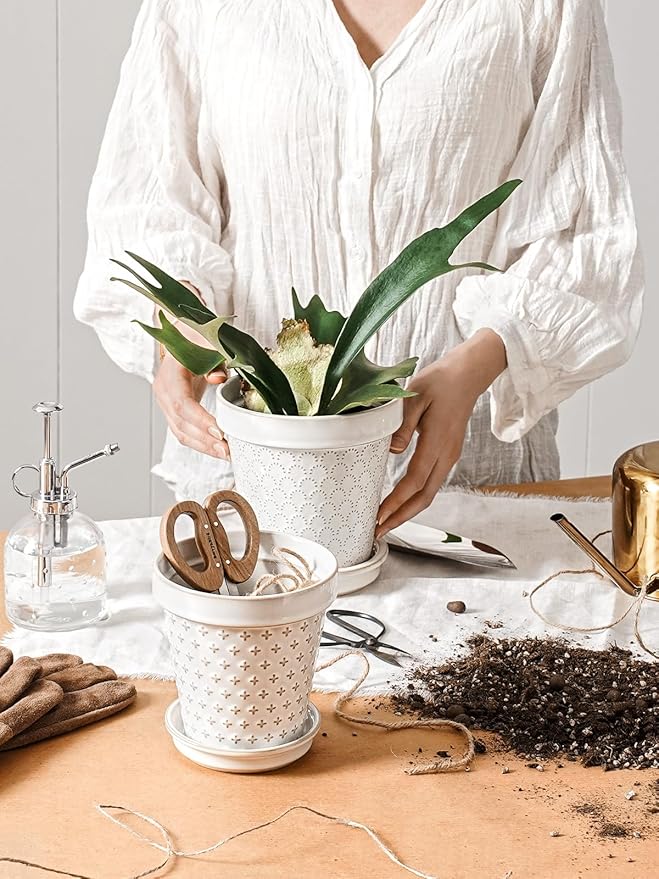 LE TAUCI Ceramic Plant Pots, Cute Succulent Pots with Saucer, 6 Inch Flower Pots with Drainage, for Plant Lover or Mothers Day,Housewarming, Decorative Lovely Planter for Cactus, Set of 4