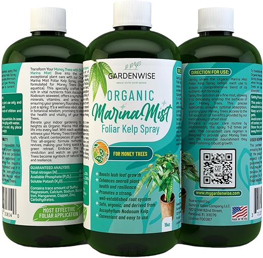 Organic Marina Mist Foliar Spray for Money Tree | Liquid Fertilizer | Micro Nutrients for Vital Health | Liquid Plant Food (16 OZ)
