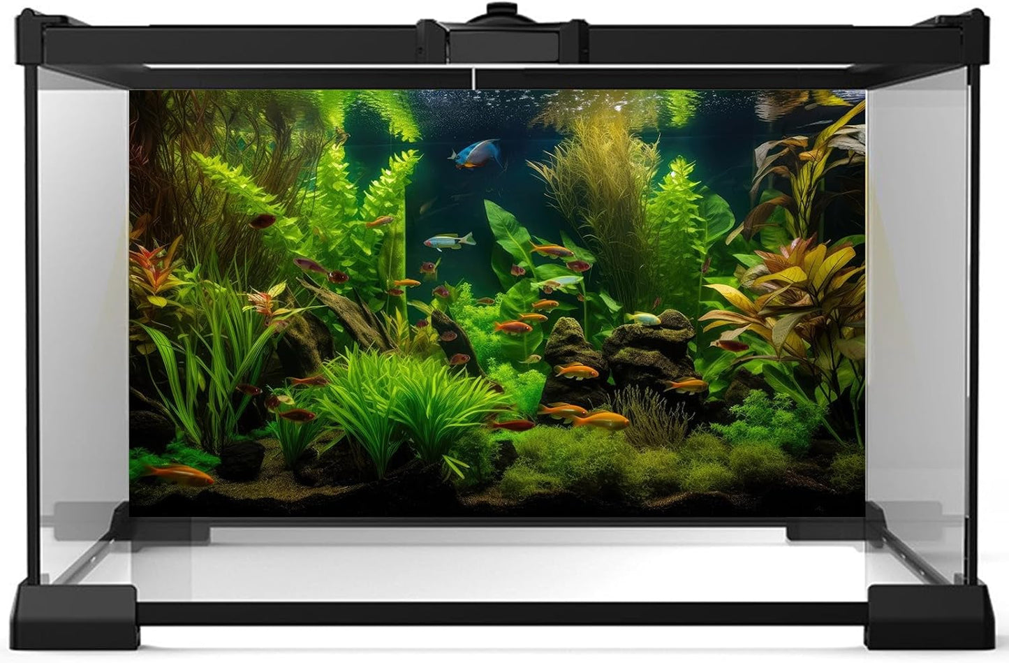 Aquarium Background Tropical Freshwater Colorful Fish Plants Fish Tank Background Tranquil Under The Sea Aquatic Plants Cork Redwood Root Lush Green Moss Reptile Tank Terrarium Background 72x16in