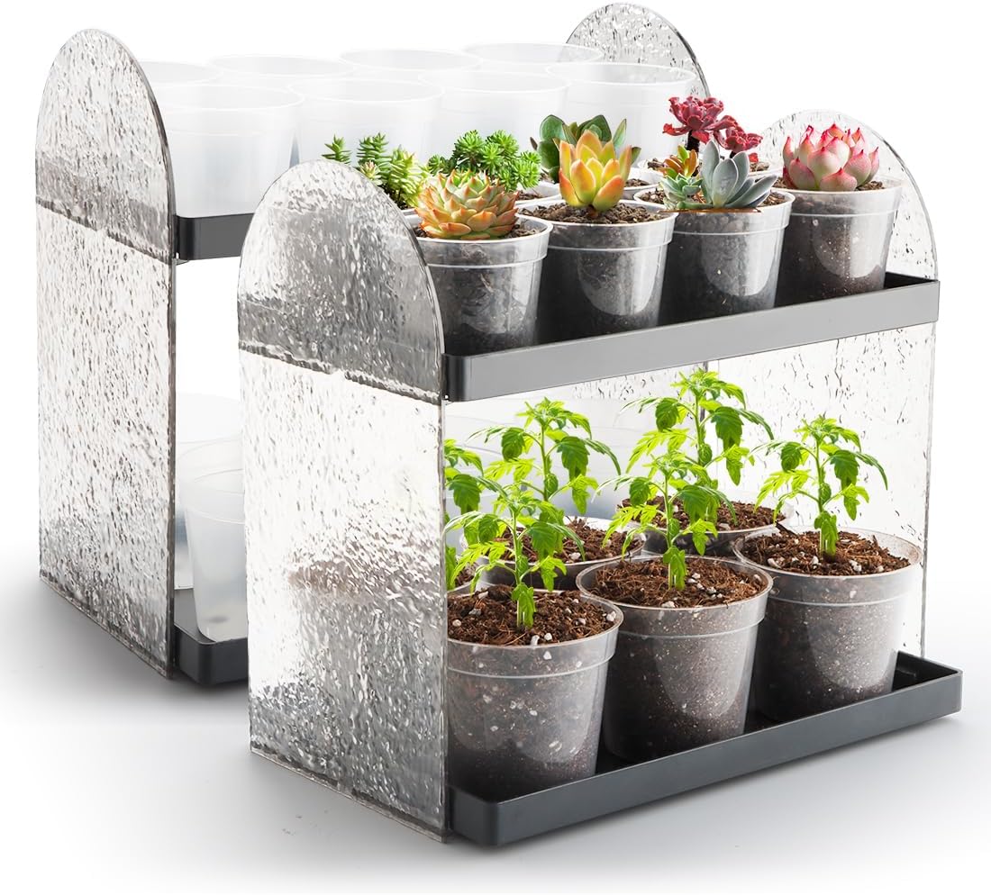 2-Pack Mini Plant Stands with 2.5" & 3" Clear Plastic Pots with Drainage Holes for Plants Indoor Seedling Small Succulent Windowsill Shelf as Gifts for Men Women