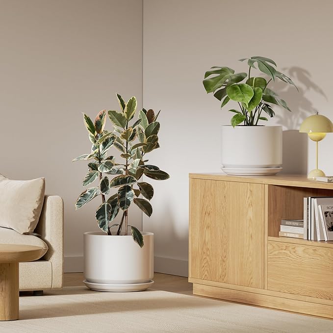 LE TAUCI Ceramic Plant Pots, 10 + 12 Inch Pots for Plants, Indoor Plant Pots for Home and Office, Modern Flower Pots Fit Mid Century Plant Stand, Planters with Drainage Holes and Saucers, White