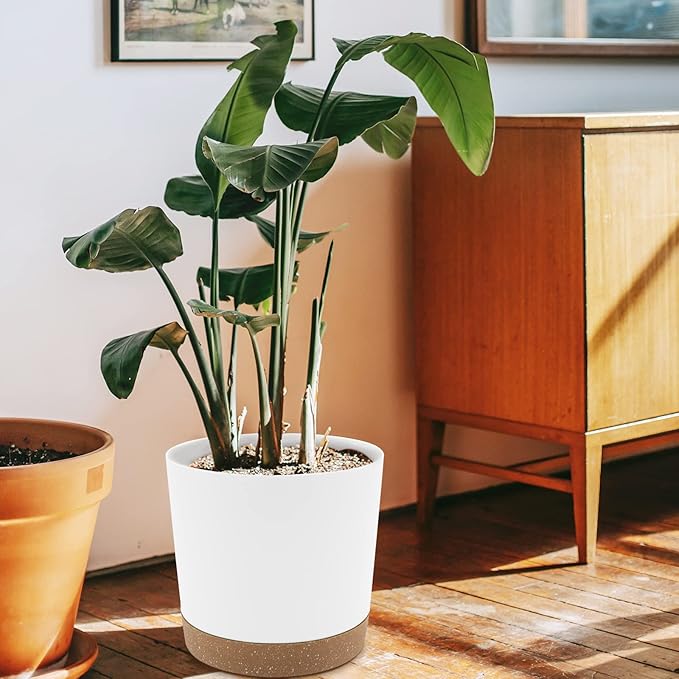 QCQHDU 10 inch Plant Pot, 2 Pack Planters for Indoor Plants with Drainage Holes & Saucer, Outdoor Flower Pots Home Garden Modern Decor