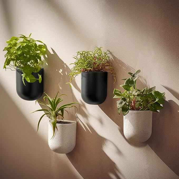 LA JOLIE MUSE Wall Hanging Planters for Indoor Plants，Hanging Flower Pots for Air Plants Succulent, Set of 2, 6 Inch, Black