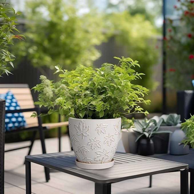 Ceramic Plant Pot 6 Inch - Ceramic Planter with Drainage Hole and Saucer Round Planter Flower Pot for Indoor Plants Outdoor Home Garden Office Decor White