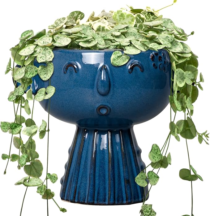 Head Planter Pot - 7 Inch Cute Face Planter for Indoor Outdoor Plants Ceramic Succulent Pot Round Flower Pot Present for Mother Christmas with Drainage Hole Blue
