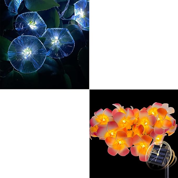 Solar Flowers Outdoor Waterproof - Petunia Blue Morning Glory Flowers&Solar Moth Orchid String Lights 12.5ft 10 LED Phalaenopsis Flower Solar Fairy Lights