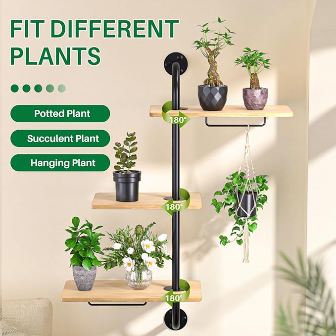 DELLAN Window Plant Shelves, Rotating Plant Shelf for Window, Wall Mounted Indoor Hanging Plants Shelf (3 Tier)