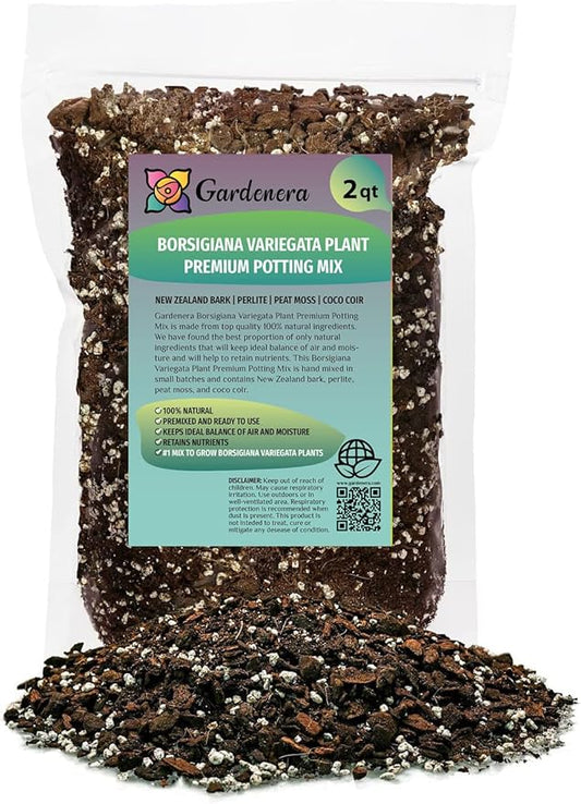 Monstera Borsigiana Soil Mix - Expertly Formulated for Strong Root Development - 2 Quart