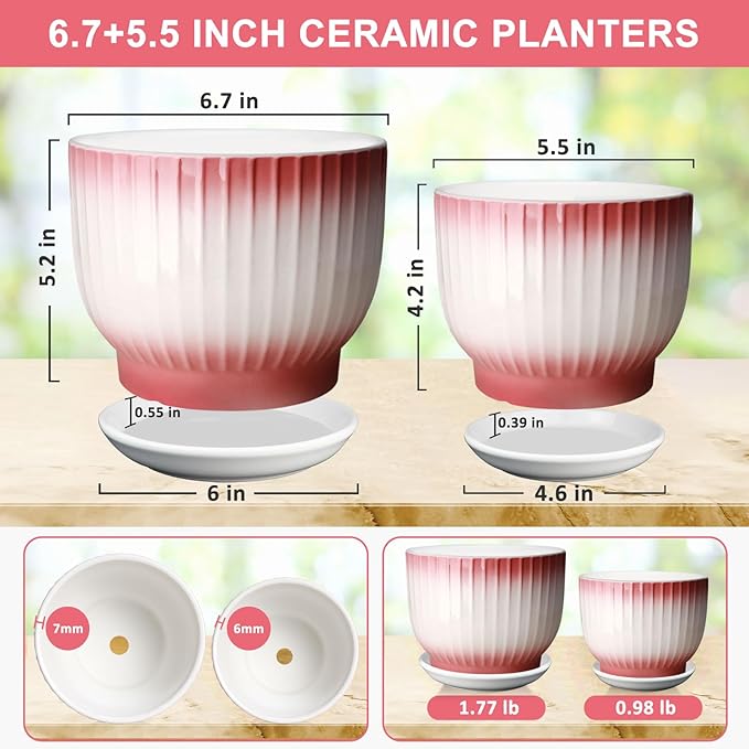 6.7 + 5.5 Inch Plant Pot, Ceramic Planter with Drainage and Saucer, Ceramic Pots for Plants, Indoor Plant pots,Ceramic Flower pots（Pink + White, Plants NOT Included）