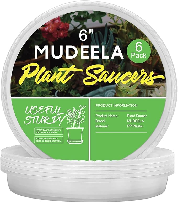 MUDEELA 6 Pack of 6 inch Plant Saucer, Durable Plastic Plant Trays for Indoors, Clear Plastic Flower Plant Pot Saucer, Made of Thicker, Stronger Plastic, with Taller Design