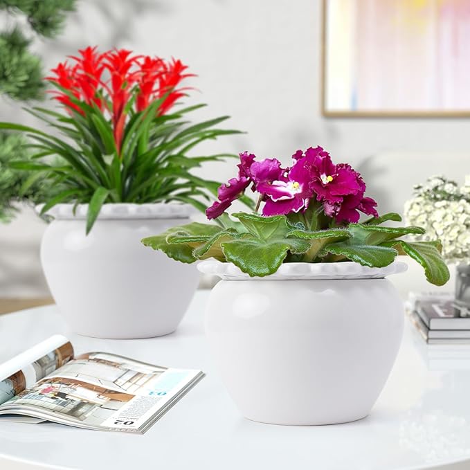 African Violet Pots 8 inch White Ceramic Easy Plant Self Watering Pot Ceramic Flowerpot with Water Absorbing Inner Pot Orchid Planter for Best Gifts Lawn Yard Outside Decor
