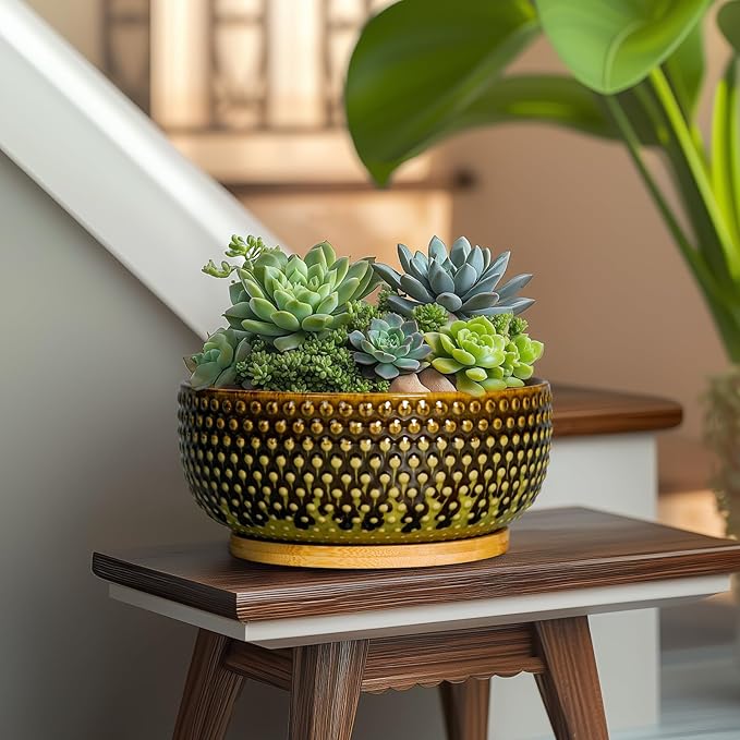 Bonsai Pots 8 Inch - Ceramic Planter for Indoor Plants, Succulent Pots with Drainage Hole and Plant Tray, Modern Round Decorative Flower Planters, Home Decor, Brown & Green