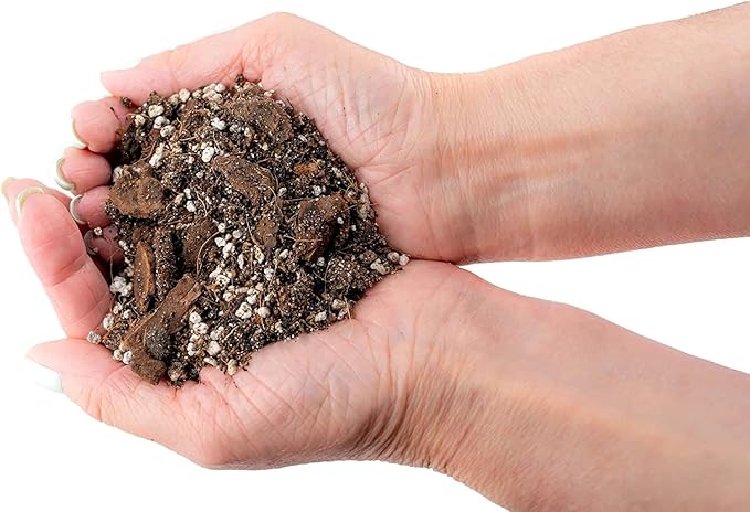 Fiddle Leaf Fig House Plant Soil Premium All Purpose Blend - Peat Moss, New Zealand Bark, Coco Chips and Fibers, Perlite - 2 Quart Bag