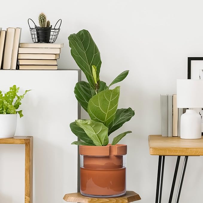 Phoenix Vine 10 Inch Self Watering Planter Pot, Terracotta Clay Pot with Glass Reservoir for Indoor Plants, Herbs, Flowers, Set of 1, 52-A-I-1