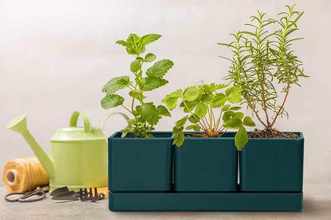 D'vine Dev Herb Garden Planter Set, Plastic Plant Pots with Drainage and Saucer, Indoor Succulent Cactus Vegetable Pot for Windowsill, Garden Balcony, Green, Set of 1, 76-V-C-1