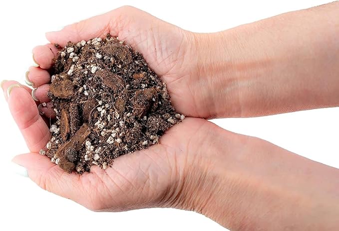 Premium Spider Plant Potting Soil Mix (4 Bags of 5 Quart)