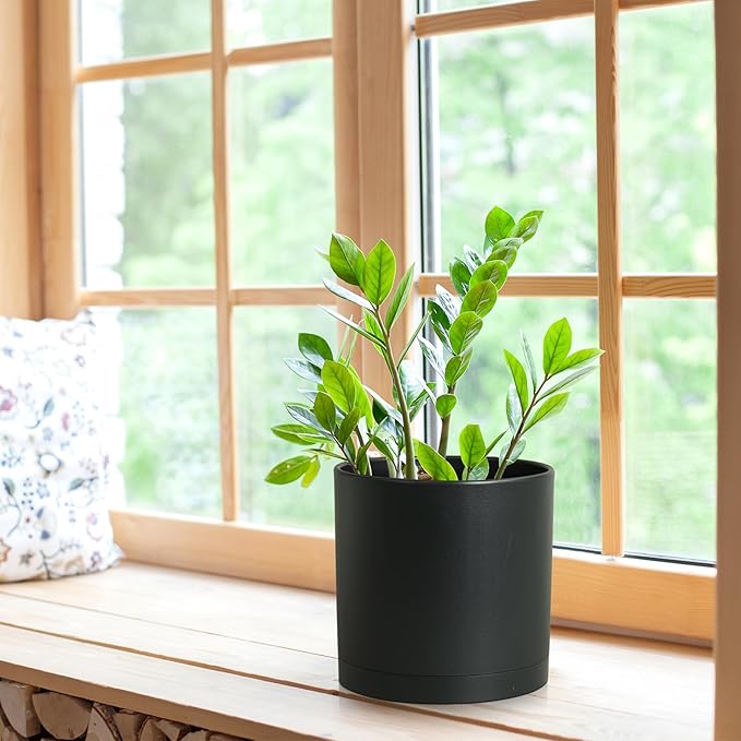 8 Inch Medium Plant Pots for Indoor Outdoor Plants, Cylinder Deep Flower Pots with Drainage Holes & Saucer, Decorative Plastic Planter Pots for Garden House Plants, Black