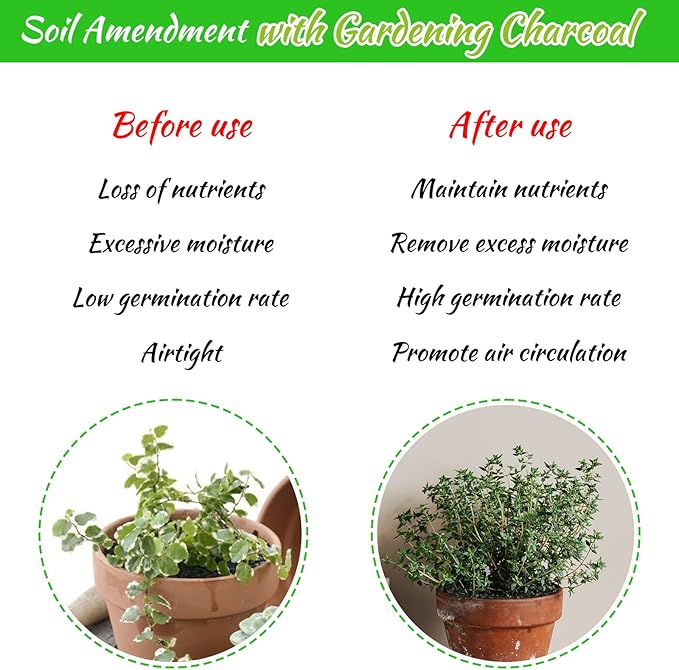 Legigo 6QT All Natural Horticultural Charcoal- Activated Hardwood Plant Charcoal for Soil Amendment, Conditioning Bonsai Soil, Succulent Soil, Terrarium Supplies, Indoor Plant Potting Soil