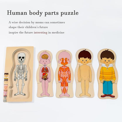 My Body Parts Puzzle for Toddlers Girls Boys Wooden Anatomy Puzzle 3-8 Years Old Preschool Learning Game Human Body Skeleton Toys