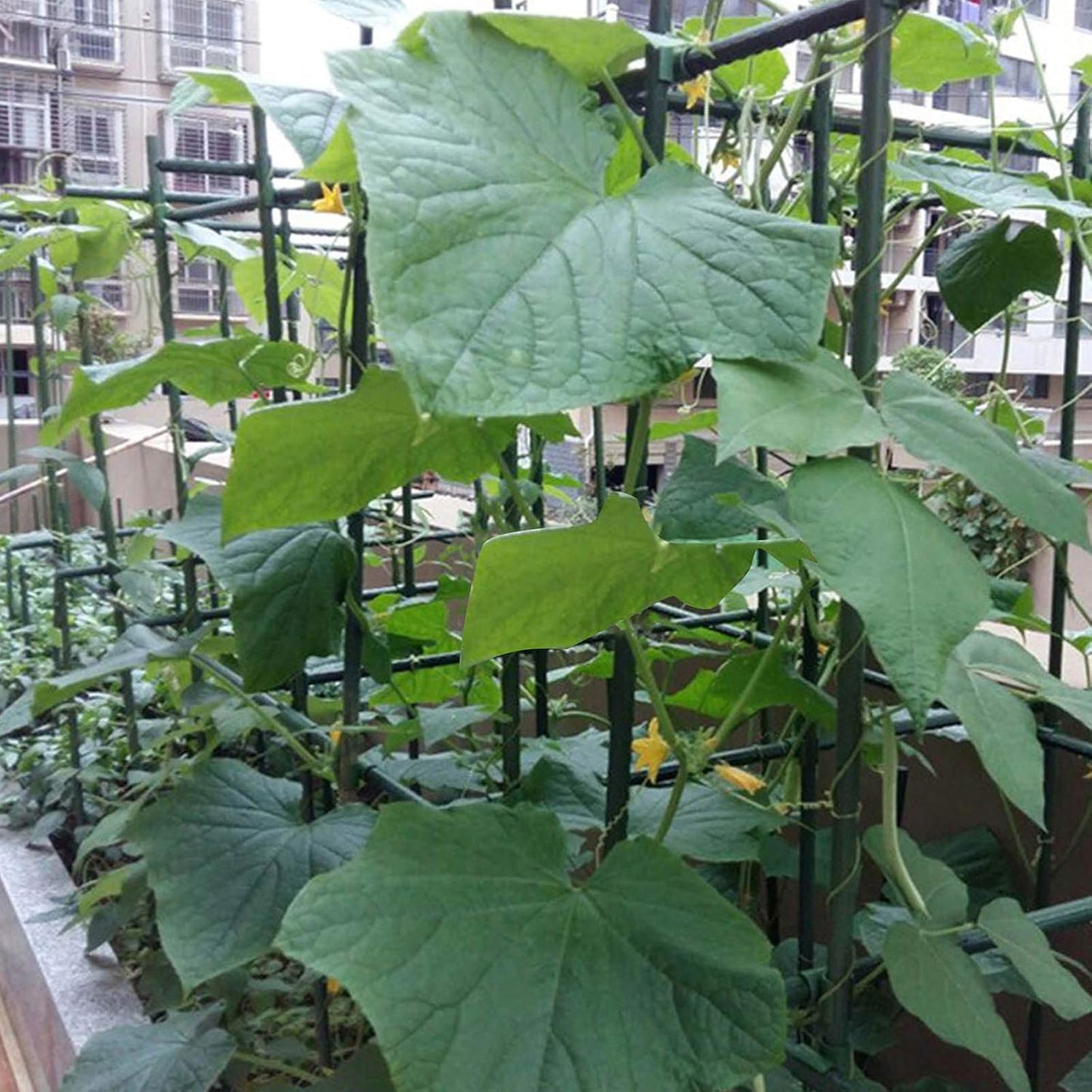 Garmeinea Garden Stakes 30 Inches Plastic Coated Steel Plant Stakes for Growing Climbing Plants, Pack of 25