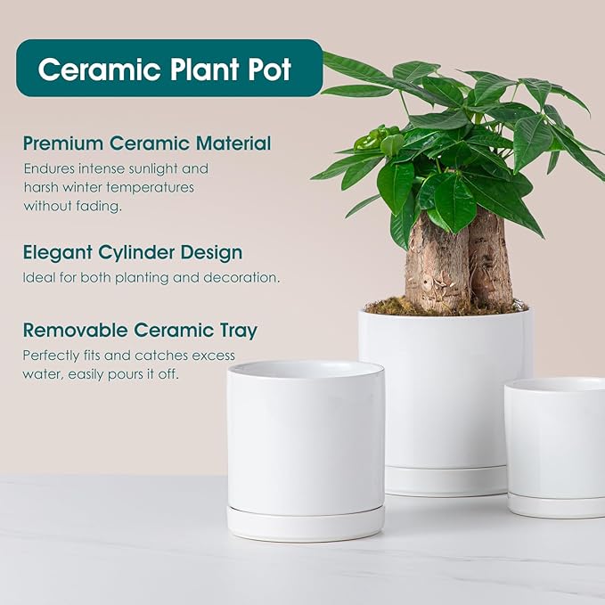 vancasso Ceramic Plant Pots, 3 Piece Planters for Indoor Plants, 4.25+5.25+6.25 Inch Flower Pots with Drainage, Plant Pots Indoor for Succulent, Pothos, Snake Plant and Money Tree, Etc (White)