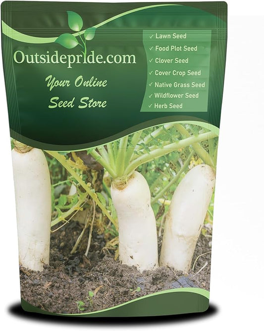 Outsidepride Annual Daikon Radish Seeds - 50 lbs. Chinese, Japanese, & Oriental Radish Seeds for Soil Health, Erosion Control, & Soil Aeration - Ideal for Gardens, Cover Crops, Pastures, & Food Plots
