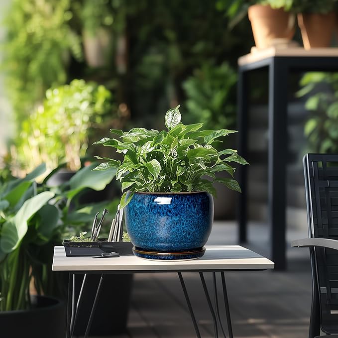 SQOWL Ceramic Planter 8 Inch - Pot for Indoor Outdoor Plants Round Ceramic Plant Pot with Drainage Hole and Saucer Modern Flower Pot Glazed Blue