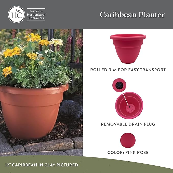 The HC Companies Caribbean Planter Pot - Outdoor & Indoor Plant Pot with Drainage Hole & Plug - Rolled Rim Plastic Pots for Plants & Flowers - Decorative Plant Pot (12" Pink Rose, Pack of 2)