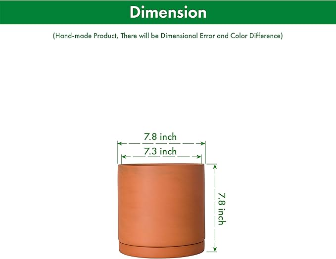 D'vine Dev Medium 8 Inch Terracotta Plant Pot with Drainage Hole and Saucer, Round Cylinder Planter Pot for Indoor Plants, 40-X-A-4