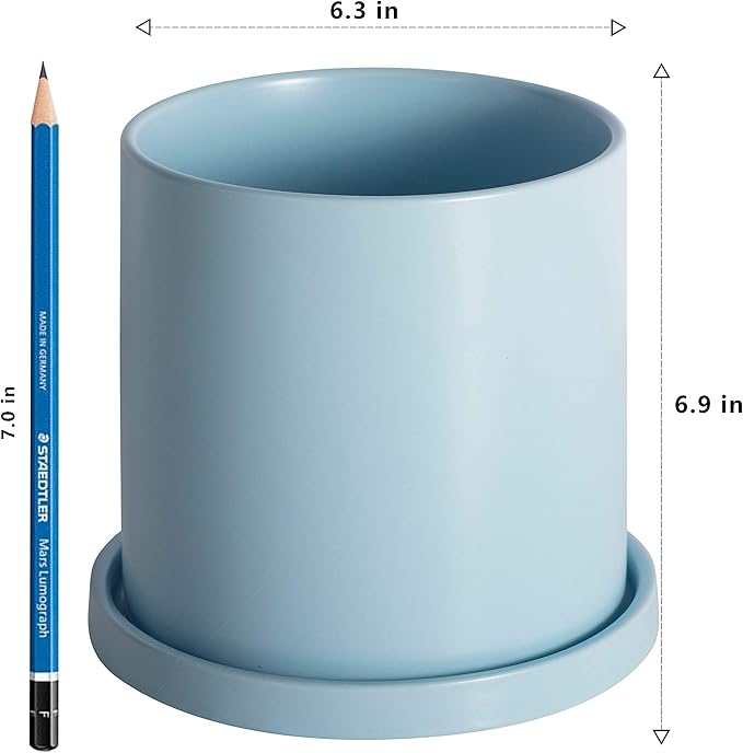 Planters for Indoor Plants Ceramic Flower Succulent Plant Pots with Drain Hole Saucer Decor for Home Office (6 inch Blue)
