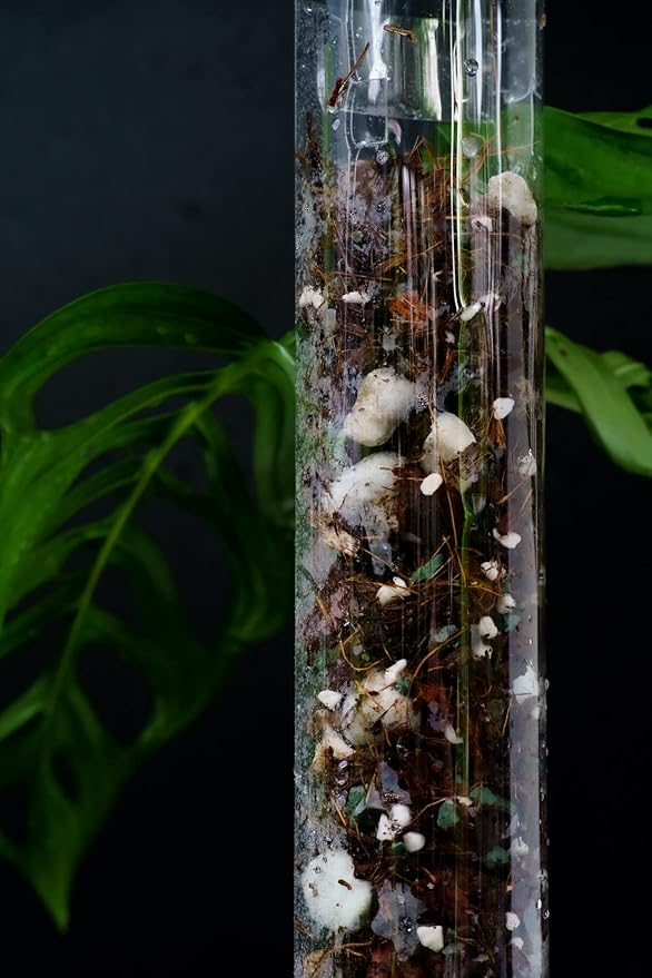 Plastic Moss Poles for Climbing Plants V3 Medium 5Pcs Front Opening Stackable Moss Pole Monstera Plant Support-Plant Climbing Pole, DIY Moss Pole for Plants Indoor, Plant Sticks Support by THICCLY