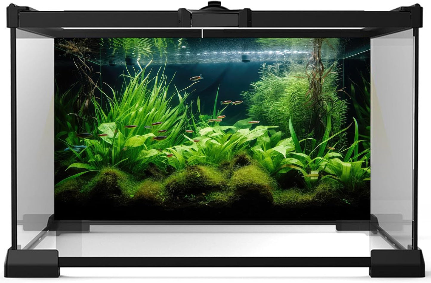 Aquarium Background Diverse Aquatic Plants Seagrasses Terrarium Background Redwood Root Lush Green Underwater Plants Tropical Style Fish Tank Background Under The Sea Aquarium Backdrop Vinyl 24x16in