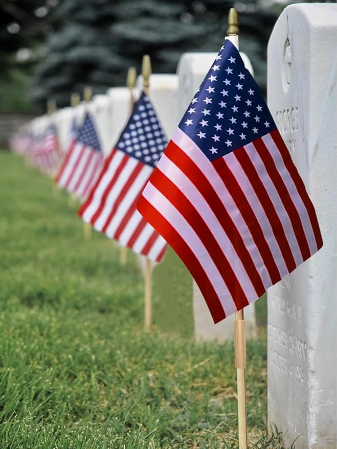 12 Pack 12x18 Inch American Flags for Outside, US Flags with Kid-Safe Spear Top ,American Flags on Stick, Patriotic Decorations,Perfect for Flag Day, Memorial Day, Independence Day Patriotic Holiday Yard Garden Flags